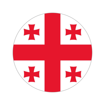 languageicon